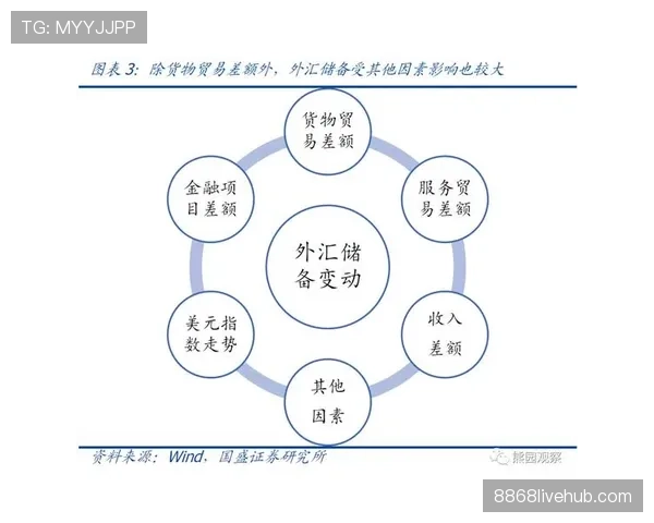 足球中“暂时离场检查”规则有哪些细节和限制？全面拆解教你正确理解
