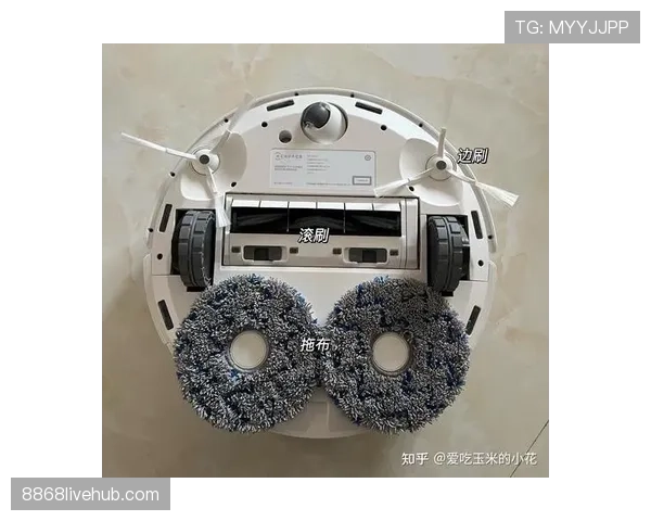 阿尔瓦雷斯的高光表现源于体系赋能还是个人能力?关键维度拆解 阿尔瓦雷斯的高光表现源于体系赋能还是个人能力?关键维度拆解