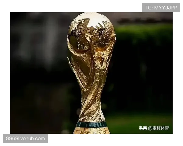 2026世界杯比赛因安全原因暂停如何处理